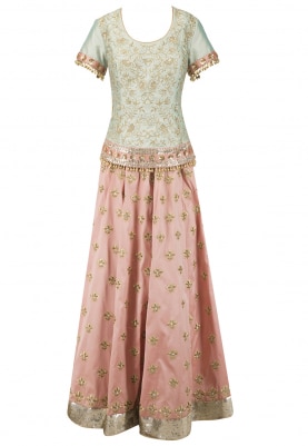 Mint Green Long Choli with Embroidered Skirt Set
