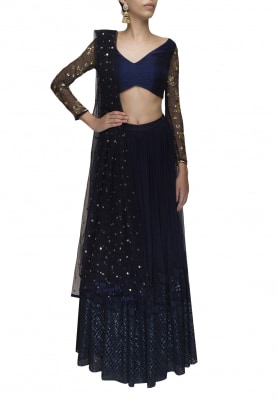 Dark Slate Blue Choli Blouse with Transparent Embroidered Sleeve with Lehenga and All-Over Work Dupatta.